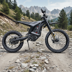 Moto tout-terrain Long Riding Leopard XE PRO S 72V 55Ah 20KW 600N.m 78mph Haute Performance 20KW - Product Image 4
