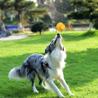 Jouet interactif pour chien, balle en mousse E-TPU durable, balle rebondissante, jouet d'entraînement pour animaux de compagnie respectueux de l'environnement