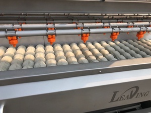 ماكينة تنظيف وتعقيم تمور النخيل لغسيل وتعبئة التمور وغسالة للتمور المجدول - Product Image 5