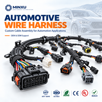 Faisceau de câblage automobile, assemblage de câbles 18-24AWG, connecteur étanche 2-8 broches, OEM personnalisé pour l'électronique des véhicules