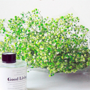 <span class=keywords><strong>Super</strong></span> Z Venta al por mayor Preserved Baby Breath Gypsophila Flores secas Colores personalizados para decoración de ramo de boda 400g - Product Image 4