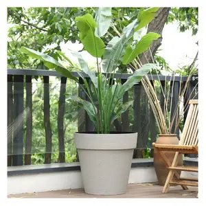 Produit de décoration d'intérieur Boîte de jardinière Pots en plastique pour plantes