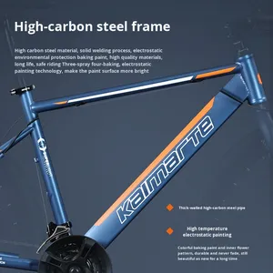 Bicicleta de Carretera Renault al por Mayor de Fábrica, Cuadro de Acero al Carbono, Manillar Curvo, Freno de Disco, para Adultos, Hombres y Mujeres, con Velocidades Variables - Product Image 5