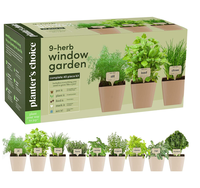 Kit de culture de plantes et de fleurs pour enfants avec serre, ensemble de jardinage sur mesure pour les célébrations du Nouvel An chinois et de Pâques
