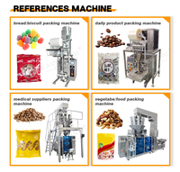 Machine d'emballage industrielle à scellage arrière pour poudres (curry, masala, piment, épices) en sachets – Stable et continue