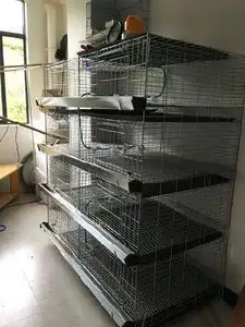 Jaula <span class=keywords><strong>para</strong></span> pollos, gallinero, comercial, con puerta <span class=keywords><strong>para</strong></span> granja de aves de corral - Product Image 3