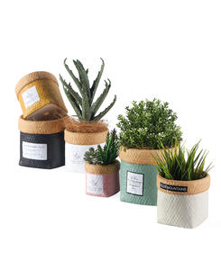 Suministros <span class=keywords><strong>de</strong></span> jardín productos al por mayor maceta <span class=keywords><strong>de</strong></span> flores <span class=keywords><strong>para</strong></span> interiores y exteriores bolsa <span class=keywords><strong>de</strong></span> <span class=keywords><strong>tela</strong></span> pequeña maceta <span class=keywords><strong>de</strong></span> cerámica <span class=keywords><strong>macetas</strong></span> <span class=keywords><strong>de</strong></span> cemento - Product Image 6