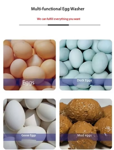 Food Processing Brush Cleaning <b>Machine</b> Automatic <b>Egg</b> Washing <b>Machine</b> - Product Image 2