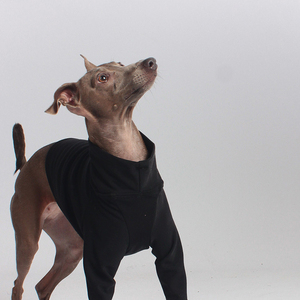 कुत्ते कपड़े स्वेटर पसीने 2 पैर रिक्त थर्मल संरक्षण गर्म साल की उम्र इतालवी ग्रेहाउंड कपड़े - Product Image 4