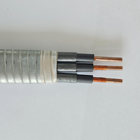 Cable de Alimentación Sumergible para Bomba de Pozo Petrolero QYEQ de 3KV 4KV 5KV 6KV, 3 Núcleos, Núcleo de Cobre, Aislamiento EPDM, Blindado, ESP