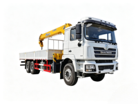 Grue montée sur camion SHACMAN 6x4 avec flèche télescopique de 12T