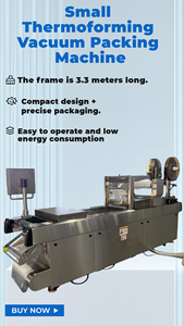 Machine d'emballage sous vide thermoformage à faible consommation d'énergie DZXL-420-350 pour l'emballage de tofu - Product Image 2