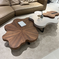 Table basse pliable STG en bois massif noyer, style Wabi-Sabi, nuage irrégulier, design moderne européen italien, pour salon