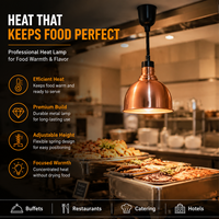 Lampe chauffante suspendue rétractable Cucina Commercial en acier inoxydable, lumière infrarouge pour buffet, comptoir de restaurant