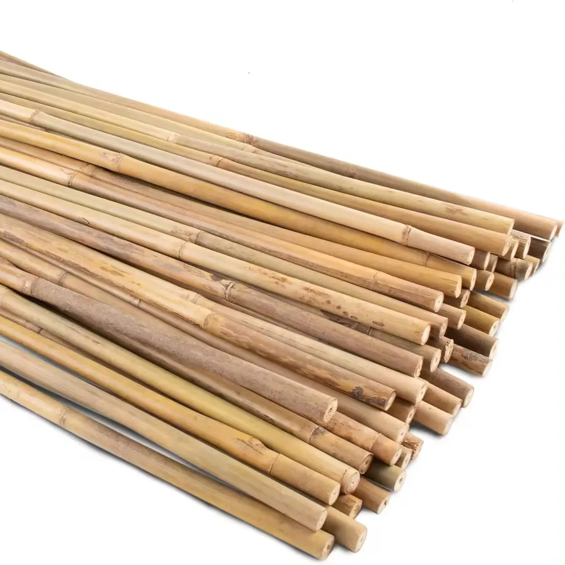 Tongkat bambu hijau batang tanaman bambu seluruh produksi atau tiang produk berkualitas tinggi