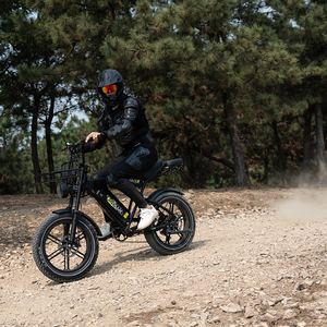 KOOLUX X9 250W Vélo électrique tout-terrain à pneus larges avec batterie au lithium, moteur sans balais et autonomie de 70-150 km - Product Image 4