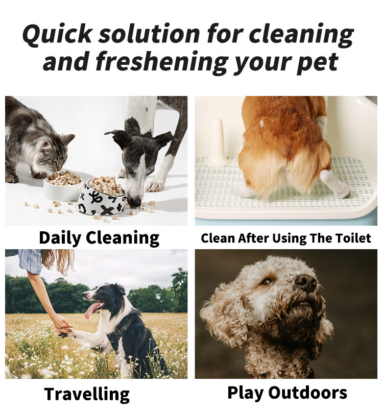 Product Detail: Becky Brand Pet Wet Wipes - Eco-Friendly, Unscented Grooming Wipes for Dogs Cats