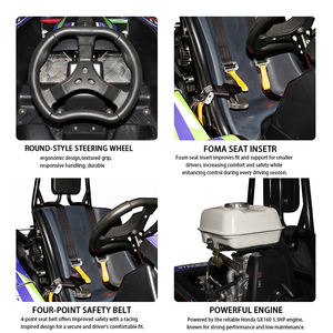 <span class=keywords><strong>GX160</strong></span> da 5,5 CV a Gas <span class=keywords><strong>Go</strong></span> <span class=keywords><strong>Kart</strong></span> a noleggio a pedali <span class=keywords><strong>Go</strong></span> <span class=keywords><strong>Kart</strong></span> a quattro ruote <span class=keywords><strong>Go</strong></span> <span class=keywords><strong>Kart</strong></span> per ragazzi - Product Image 5