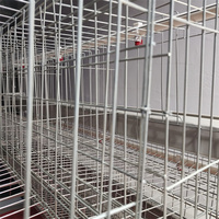 Cage à poules pondeuses galvanisée à 3 niveaux et 5 portes, ou à 4 niveaux et 5 portes, pour la production d'œufs, à vendre