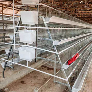 Système de cages en batterie multi-niveaux de type A pour l'élevage de poulets de chair au Ghana - Product Image 3