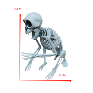 Halloween Decoration Supplier Horror Decor <b>Animal</b> Monkey <b>Animal</b> Skeleton - Product Image 4