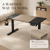 Table élévatrice électrique AOR à moteur unique, pieds de table à deux niveaux, plateau en grain de bois, rebond anti-obstacles, vente en gros d'usine
