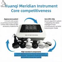 Appareil de massage Meridian BES, massage bio-électrique, stimulation électrique, thérapie par résonance multi-fréquence, usage familial
