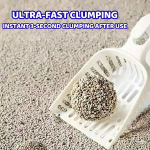 Litière pour chat Ecopaws en bentonite naturelle, litière pour chat en argile à agglomération rapide, haute absorption, anti-odeurs, marque privée pour les importateurs - Product Image 4