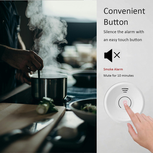 Báo thức 10 năm cổ điển với DH-001 nút im lặng thông minh - Product Image 6