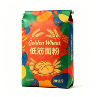 Sac en papier kraft multicouche de qualité alimentaire certifié ISO/SGS/RoHS, biodégradable, recyclable, avec bec verseur facile, 10-25 kg, pour produits chimiques de boulangerie