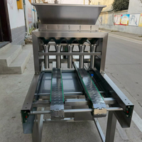 Machine automatique de saupoudrage de pâtisserie de précision pour graines de citrouille et noix, avec moules personnalisés