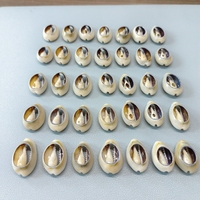 Vente en gros de cauri doré taillé jaune artisanal fait à la main conque escargot 2-2.5cm en stock pour décorations de bijoux