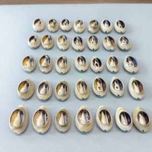 Vente <span class=keywords><strong>en</strong></span> gros de cauri doré taillé jaune artisanal fait à la main conque <span class=keywords><strong>escargot</strong></span> 2-2.5cm <span class=keywords><strong>en</strong></span> stock pour décorations de bijoux - Product Image 4