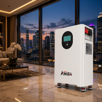 Batterie murale 51,2 V 16 kWh 314 Ah avec plus de 8000 cycles LiFePO4 pour système d'alimentation solaire domestique