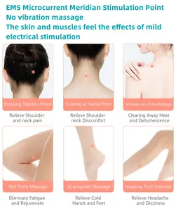 Masseur électrique à micro-courant Gua Sha avec 12 points de massage pour les épaules, les coudes, la taille, l'abdomen, les <span class=keywords><strong>genoux</strong></span>, les <span class=keywords><strong>pieds</strong></span> - Product Image 4