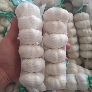 Preço por atacado 20kg Mesh Bag 5.5cm Alho Fresco Branco Normal para Exportação - Product Image 2
