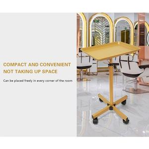 Hair Salon <b>Tool</b> Cart Aluminum Alloy High-end Multi-functional Mobile Beauty Cart with Storage Rack - Product Image 1