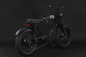 Vélo électrique de ville EBIKE 500W 48V avec pneus larges de 20 pouces, batterie 20Ah, vitesse 45 km/h, moteur à moyeu arrière 6 vitesses, pour les déplacements urbains et les loisirs - Product Image 5