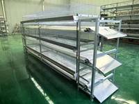 Cage à poules pondeuses de type H galvanisée à chaud, équipée d'un système de retrait automatique du fumier, équipement d'élevage avicole pour l'élevage de poules pondeuses
