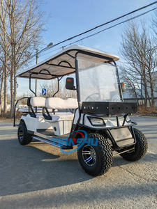 6 مقاعد مخصصة <span class=keywords><strong>2</strong></span> + 1 مقاعد مكوك كهربائي <span class=keywords><strong>2</strong></span> 4 6 8 مقاعد لحديقة الفندق - Product Image 5