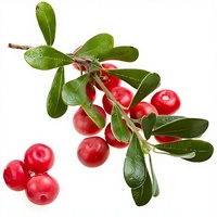 Hoogwaardig 99% Alpha Arbutin poeder waterextract 100G puur natuurlijk kruidenextract vitamine C voedingskwaliteit