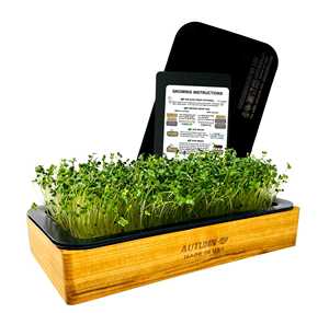 Jardinage d'intérieur vraiment <span class=keywords><strong>pour</strong></span> tout le monde Kit de culture Microgreens er Kit de culture Microgreens avec pot d'eau auto - Product Image 3