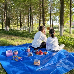 Triệu Nhật Bản màu xanh Tarp không thấm nước PP <span class=keywords><strong>PE</strong></span> Tarpaulin với UV 12x14 feet vừa Poly Tarp Nhà cung cấp bule <span class=keywords><strong>PE</strong></span> Tarpaulin tấm - Product Image 3