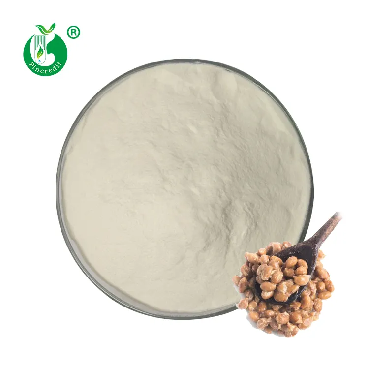 Natto Nattokinase China GMO Free 20000 FU/G Natto Extract Enzyme Nattokinase Powder