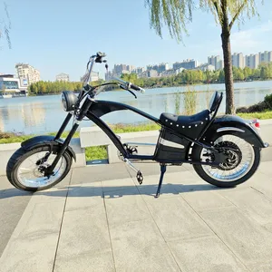 Gaea Xe đạp điện giá rẻ chất béo lốp xe đạp điện xe đạp điện động cơ 1000W E xe đạp 48V