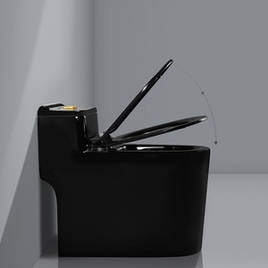 Inodoro de una pieza para niña china, Wc de Color negro - Product Image 3