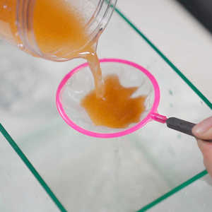 Nuovo Arrivo: Incubatrice Fai-da-Te per Uova di Artemia, Kit di Allevamento per Acquari - Product Image 3