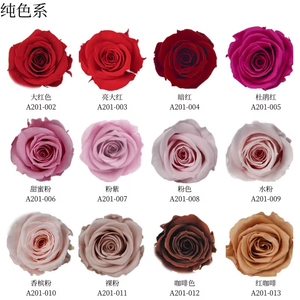 Boîte à bijoux en acrylique naturel avec double porte, rose préservée enchantée éternelle pour Noël <span class=keywords><strong>et</strong></span> Halloween, design de style INS - Product Image 6