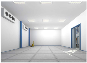 الخضروات الطازجة حفظ الباردة غرفة تخزين للبيع - Product Image 5