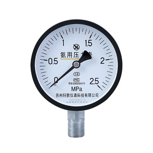 ซูโจว ซวนเฉิง YA100 เกจวัดแรงดัน 2.5Mpa สำหรับแอมโมเนีย ใช้การเชื่อมต่อแบบเกลียว เส้นผ่านศูนย์กลาง 100 มม. - Product Image 1